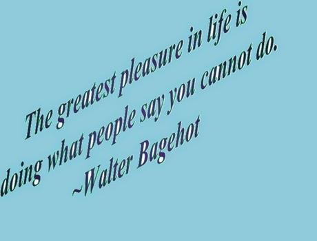 Greatest Pleasure In Life - Motivation - Walter Bahehot