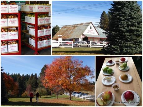 Larsen Apple Barn and Larsen Famiiy Park, El Dorado County