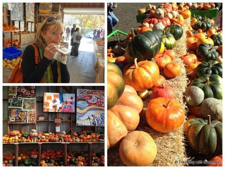 Indulging in a Hot Apple Cider donut and admiring the colorful artwork and produce at Rainbow Orchards