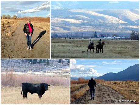 River Fork Ranch Trail, Carson Valley, Nevada