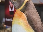 Cococo Chocolatiers Chocoholics Dream