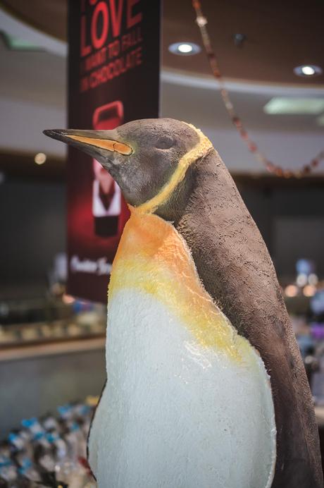 Chocolate penguin