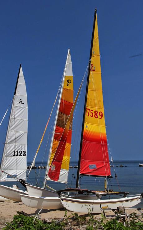 Water Scenes 3    [Orange You Glad It’s Friday]