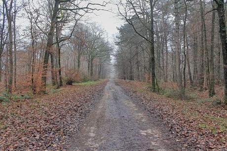 Photo Essay – Exploring the Surroundings of Reims