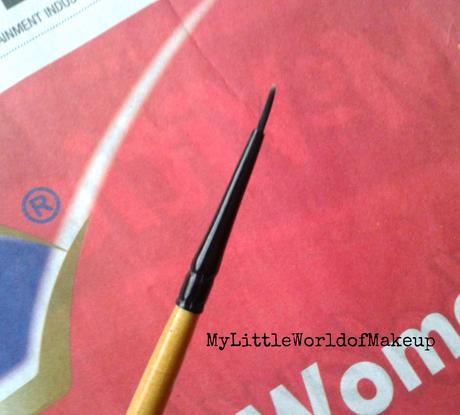 Ocean Professional Eye Liner Brush Review