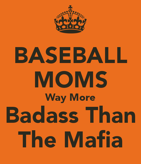 Don't mess with baseball moms!