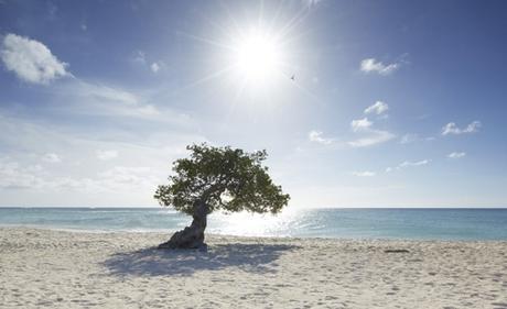 Honeymoon destination; Aruba