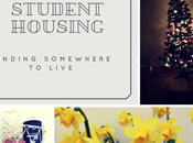 University: Finding Student House