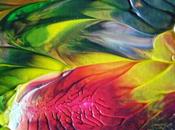 Marseglia That Isn't Yet.