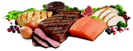 Why protein can help fat loss