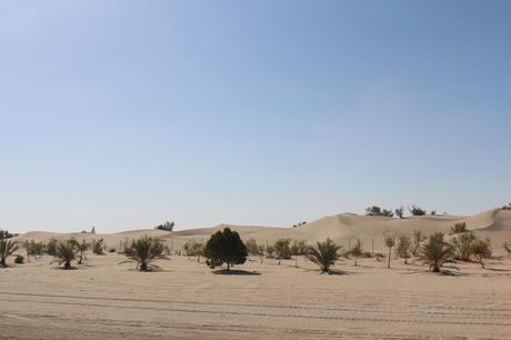 AUH desert