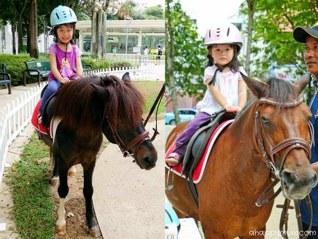 Ponies Galore at City Square Mall