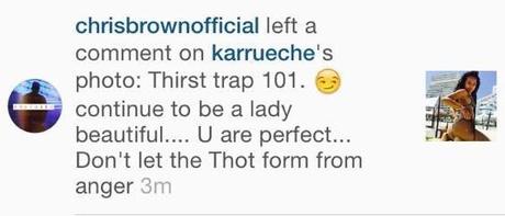 Chris Brown Comments On Karrueche Trans Picture