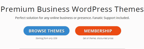 Best-Stylish-Premium-Wordpress-Themes-For-Business