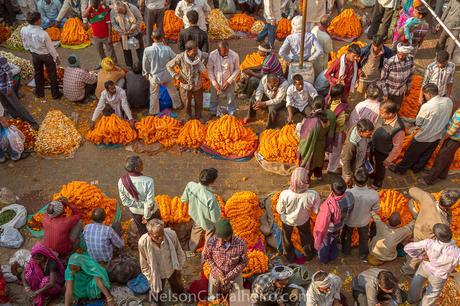 Varanasi and the Circle of Life