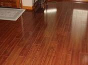 Guide Stain Removal Laminate Floors