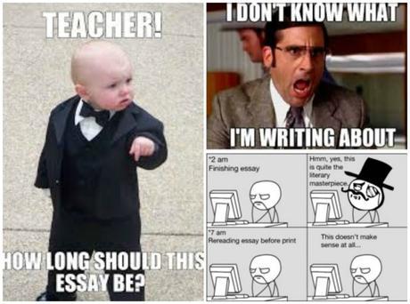 Essay Memes