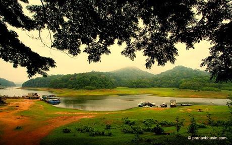 Thekkady Wildlife Sanctuary