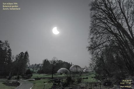 switzerland sun eclipse 2015 artborghi botanical garden small
