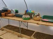 Holding Fire .... Tempted