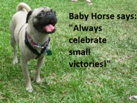 Celebrate Small Victories