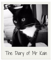 The Diary of Mr Kain: Week #25