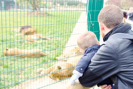 A Fun Family Day Out At Folly Farm Adventure Park and Zoo