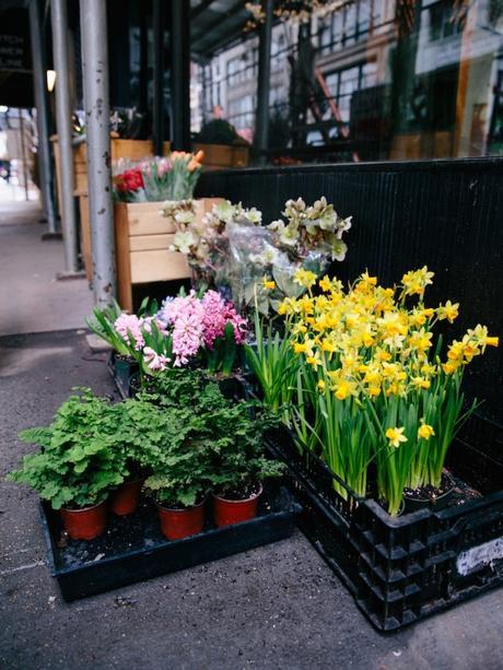 nyc_flower_market_chelsea_11