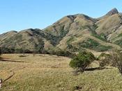 Mukurthi National Park