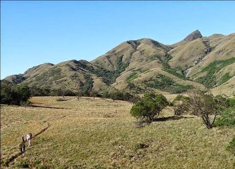 Mukurthi National Park