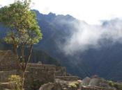DAILY PHOTO: Machu Picchu Green