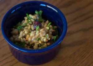 Cranberry and Parsley Barley Salad (1 of 1)