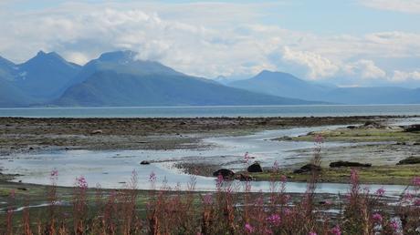 Marisma en Balsfjord, al sur de Tromso