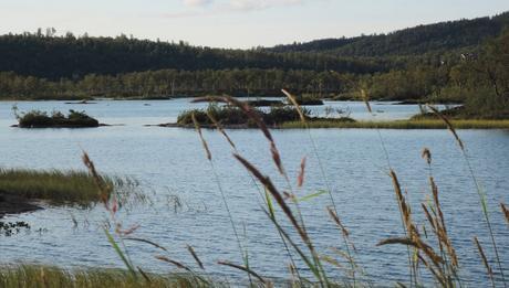 Lago Andsvadnet