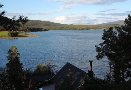 Vista desde la ventana trasera de mi cabañita