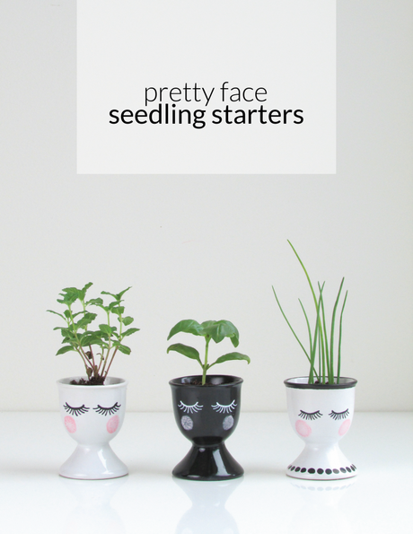 pretty-face-seedlings-franois-et-moi