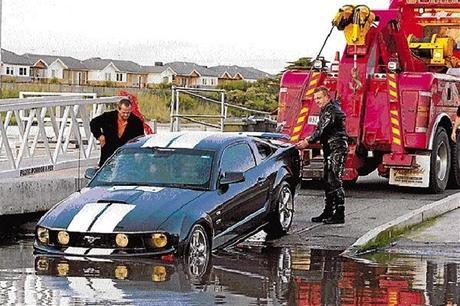 stolen Mustangs recovered