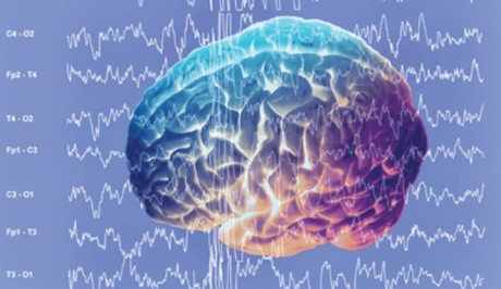 brain waves