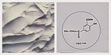 Shu Uemura X Clozette: Launch of Blanc:Chroma Brightening & Polishing Gentle Cleansing Oil