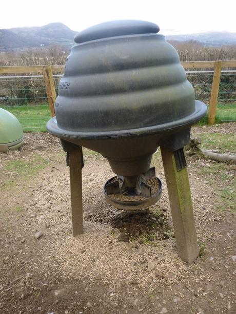 Taller Daffs, Mr Mole and Noisy Traffic