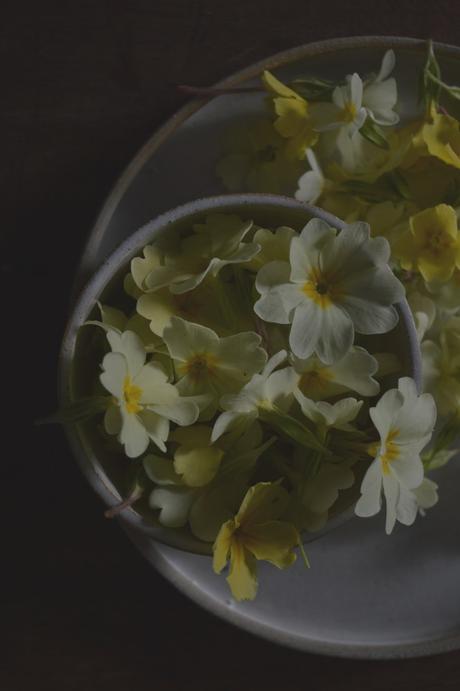 Primrose Syrup Drizzle Cake a Subtle Easter Treat