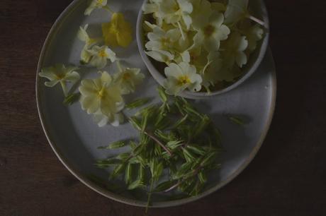 Primrose Syrup Drizzle Cake a Subtle Easter Treat