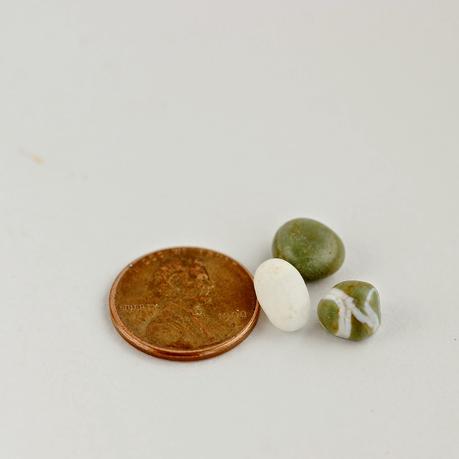 Portraits of Plants and Rocks