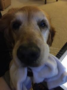 A Day in the Life 16