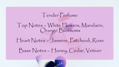 All Good Scents | Perfume in Tender