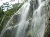 Tumalog Falls: Magical Gossamer Curtain Oslob