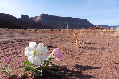 Day 4: Heavy Loads & Dirt Roads