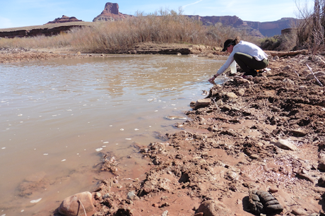 Day 4: Heavy Loads & Dirt Roads