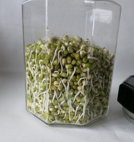 How To Make Moong Bean Sprouts
