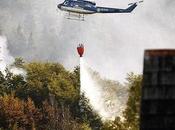 Chilean Wildfires Ravage Rare Species